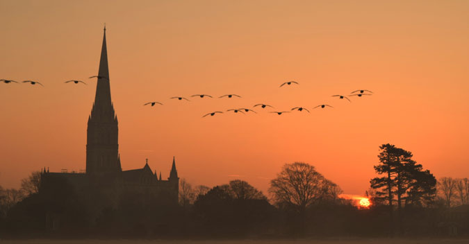 Salisbury Cathedral at dawn (C) S. Walsh