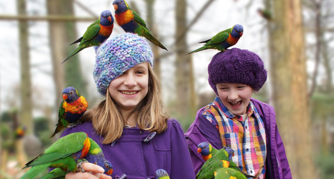 children and parrots at Longleat safari park