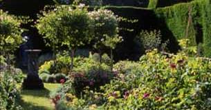 Cranborne Manor Gardens (& Garden Centre)