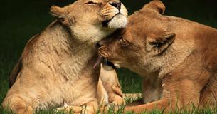 Longleat