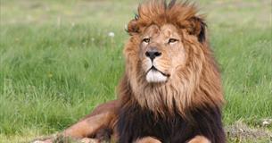 Longleat