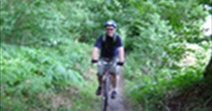 Off Cycling