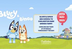 Farm Day Entry PLUS see Bluey and Bingo at intervals throughout the day