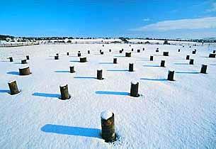 Woodhenge, Amesbury