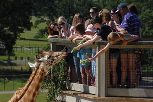 Longleat - As featured on BBC's Animal Park