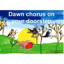 Dawn Chorus