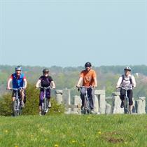 Alongside the stone avenue, Avebury