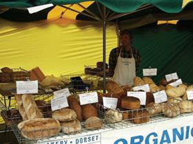 Salisbury Farmer's Market