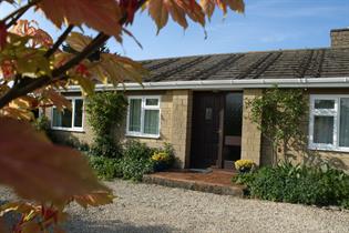 Cedarwood external