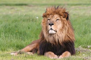 Longleat - As featured on BBC's Animal Park