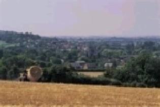 Views of Nightingale Wood