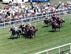 Salisbury Racecourse
