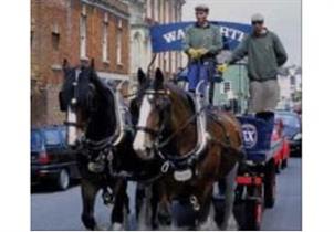 Wadworth Shire Horses