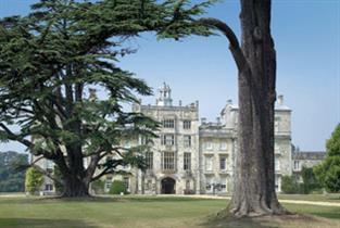 Wilton House through the cedars