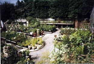 Acres Supply Garden Centre