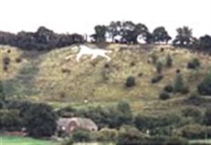 Broad Town White Horse