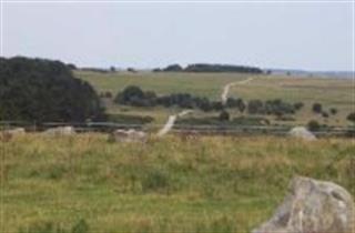Fyfield Down