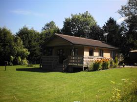 External View