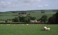 The Cottage,  Marshwood Farm