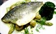 Fresh fish