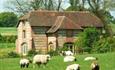 Lodge Farmhouse Bed & Breakfast