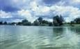 Lake at Coate Water Country Park