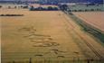 Crop Circle