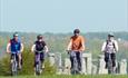 Alongside the stone avenue, Avebury