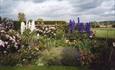 Beautiful Garden
