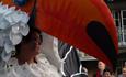 Devizes Carnival and International Street Festival