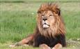 Longleat - As featured on BBC's Animal Park