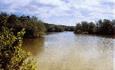 Coate Water