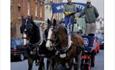 Wadworth Shire Horses