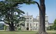 Wilton House through the cedars