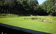 View to Garden