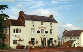 Thumbnail for The Cedar Hotel