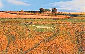Thumbnail for New Pewsey White Horse