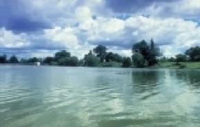 Thumbnail for Coate Water Country Park