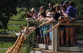 Longleat - As featured on BBC's Animal Park