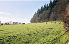 Thumbnail for Earth Panoramics