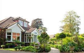 Thumbnail for Forest View B & B