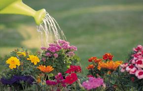 National Garden Scheme