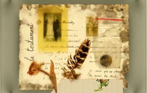 Thumbnail for Laurence Rushby, Installation Art