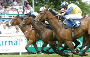Salisbury Racecourse