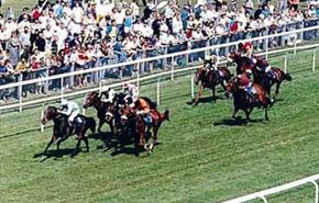 Thumbnail for Salisbury Racecourse