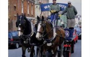 Thumbnail for Wadworth Shire Horses