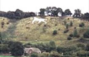 Thumbnail for Broad Town White Horse