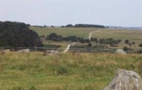 Thumbnail for Fyfield Down