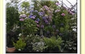 Thumbnail for Walled Garden Nursery