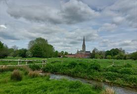 Sketch Salisbury Cathedral from water meadows
